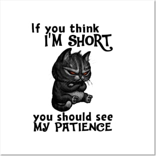 Cat You Should See My Patience Posters and Art